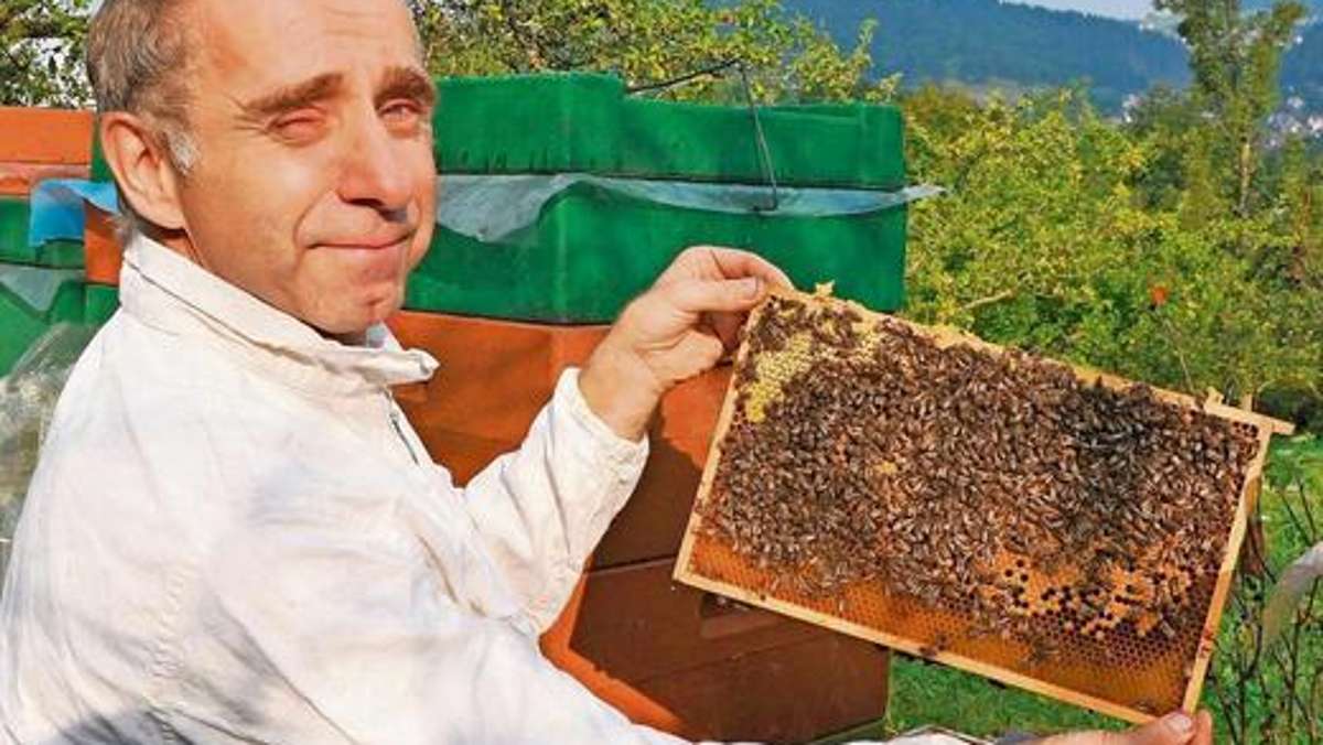Schmalkalden: Die Bienen nicht im Stich lassen