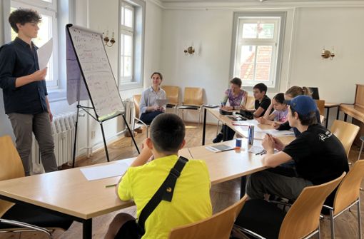 Die ukrainischen Kinder und Jugendliche besuchen eine Unterrichtsstunde des Ferien-Sprachkurses. Foto: privat