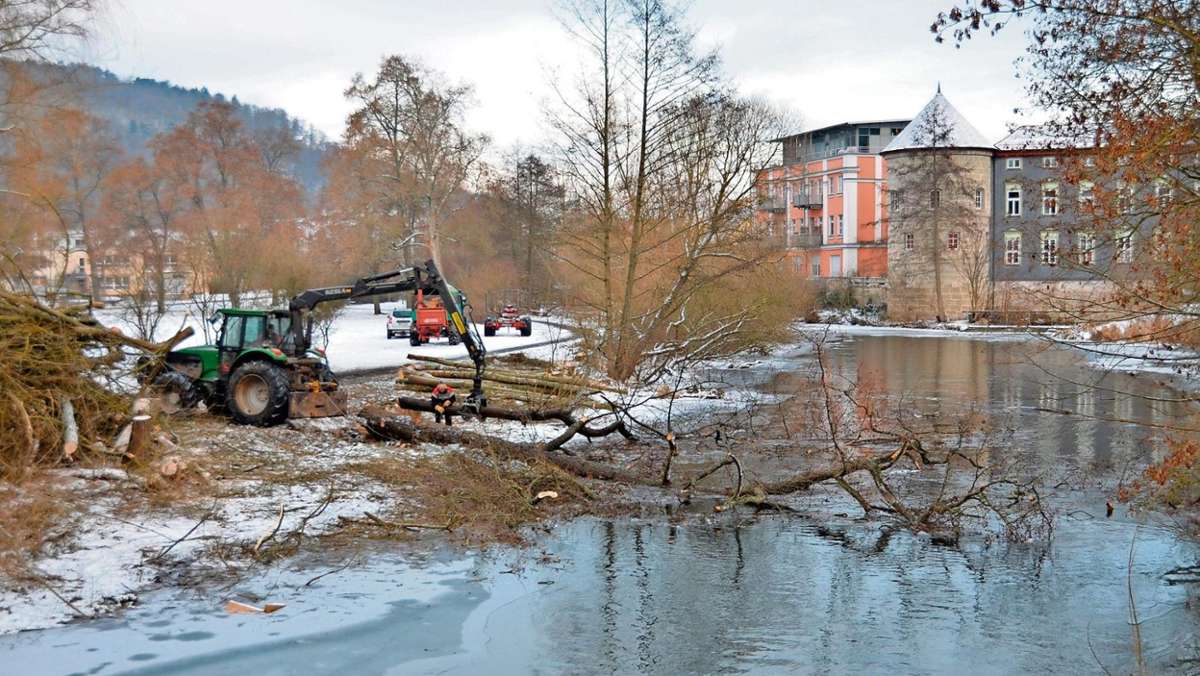 Meiningen: 323 kranke Bäume fallen am Werra-Ufer