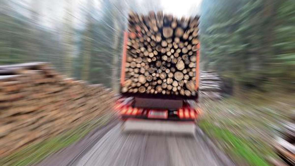 Thüringen: Trotz Waldschäden: Große Holzvorräte in Thüringen