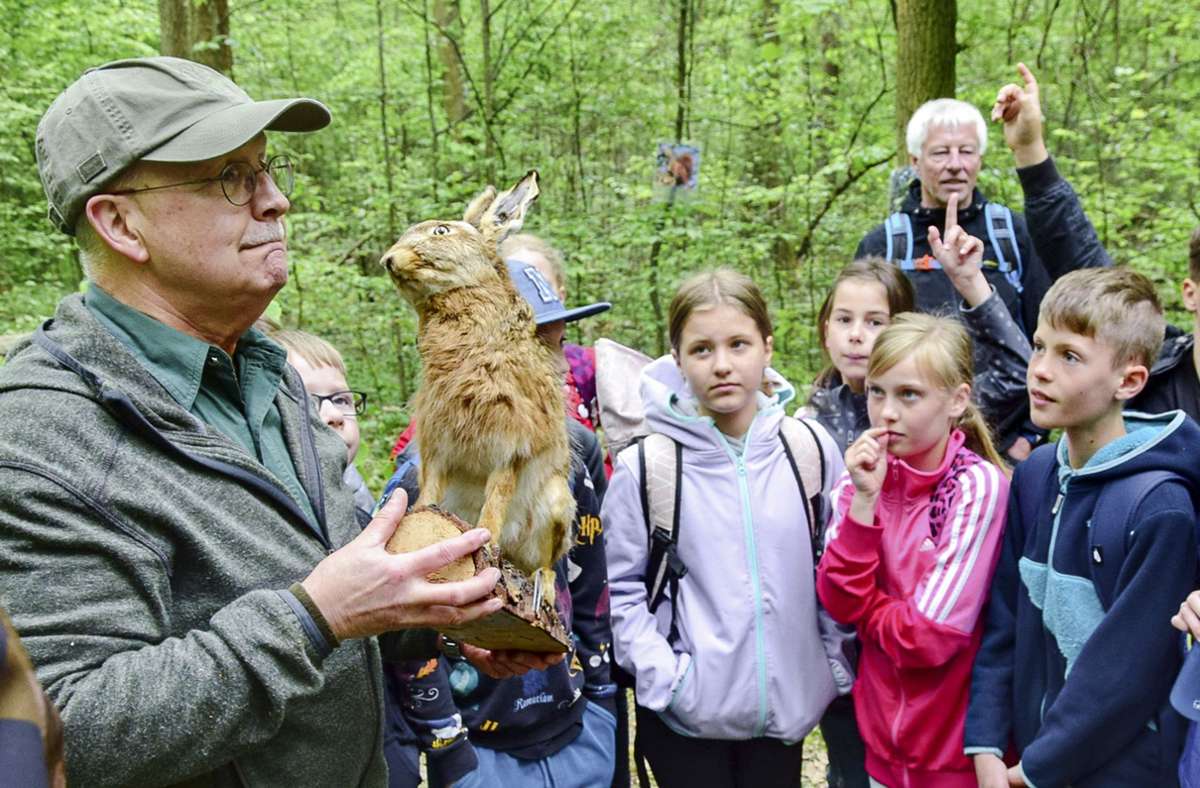 Informationen zur Jagd erhielt die  Klasse 4a der  Astrid Lindgren Grundschule Hildburghausen im Forstamt Heldburg.