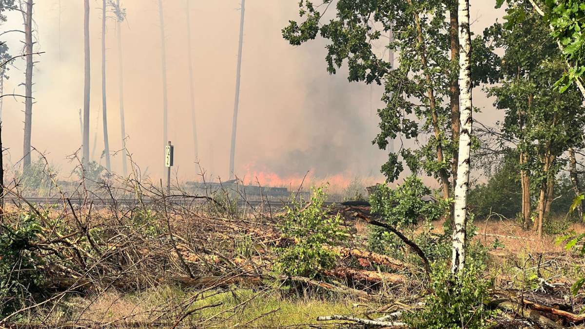 Waldbrände in Brandenburg: Hunderte Menschen werden in Sicherheit gebracht