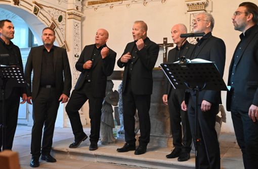 Die sieben Herren vom Vokalensemble Sängerkranz aus Laucha. Foto: Recknagel/Annett Recknagel