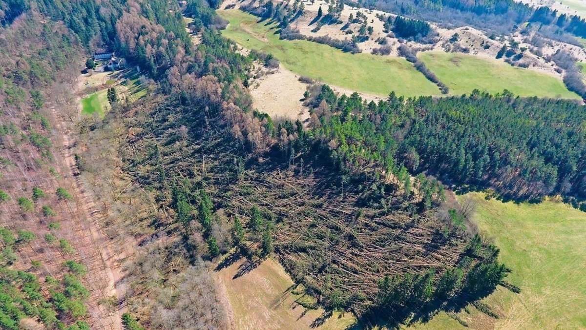 Gumpelstadt: Große Schäden im Wald der Moorgrundgemeinde
