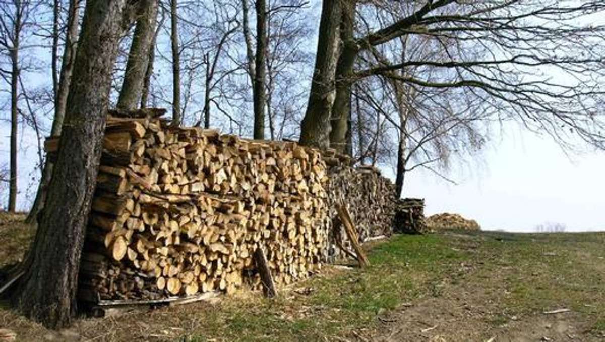 Wirtschaft: Landesforst: An Brennholz mangelt es nicht