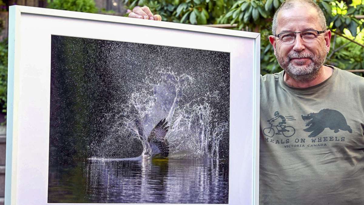 Tierische Foto-Schau: Sonneberger zeigt sein „Thüringer Wildlife“ im Haus der Natur