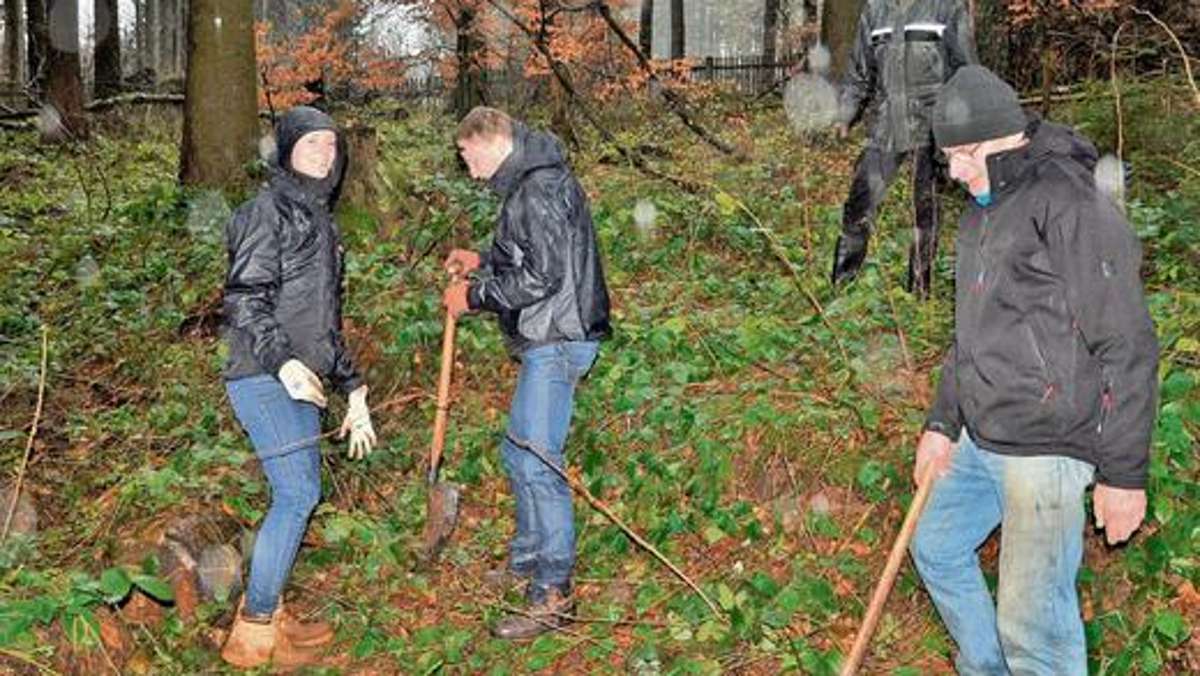 Ilmenau: Rotarier pflanzen Weißtannen am Gabelbach