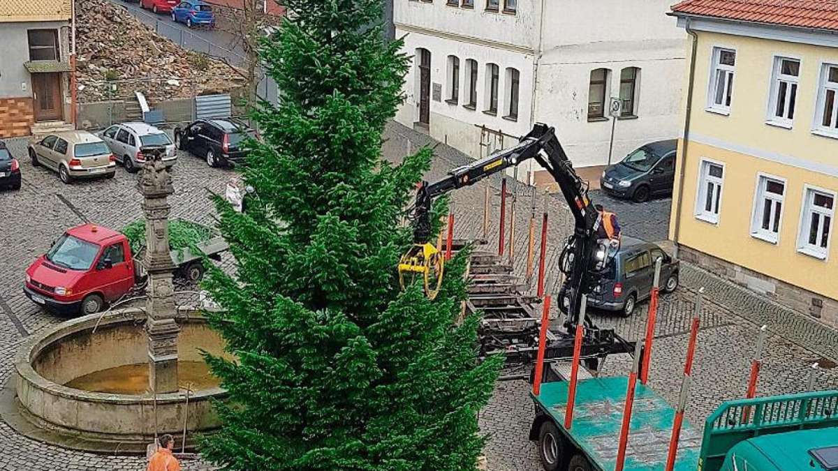 Hildburghausen: Der Christbaum steht schon