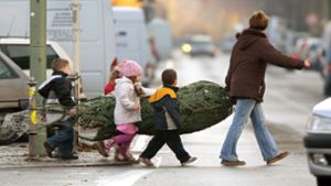 Tipps für den Weihnachtsbaumtransport
