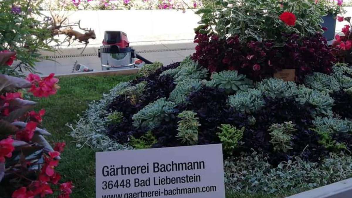 Bundesgartenschau: Unerwarteter Medaillenerfolg für Bad Liebensteiner Gärtnerei