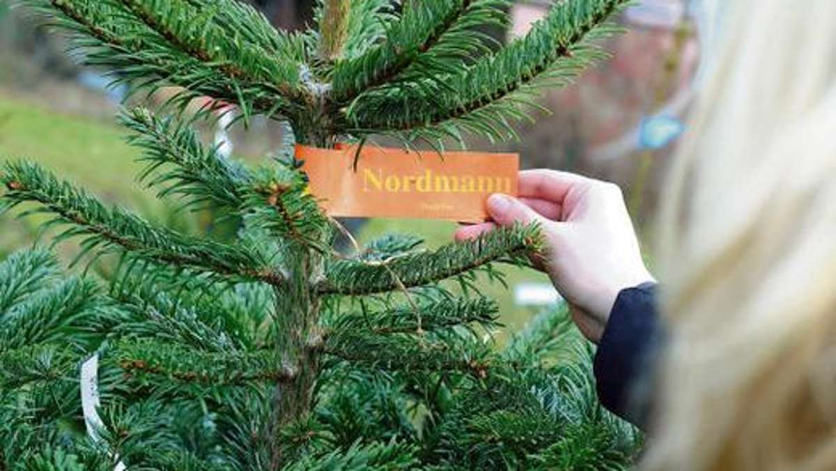 Thüringen: Oh, du Wirre: Ein Weihnachtsbaum, vier Steuersätze