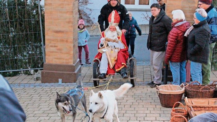 Sankt Nikolaus spannt die Hunde an
