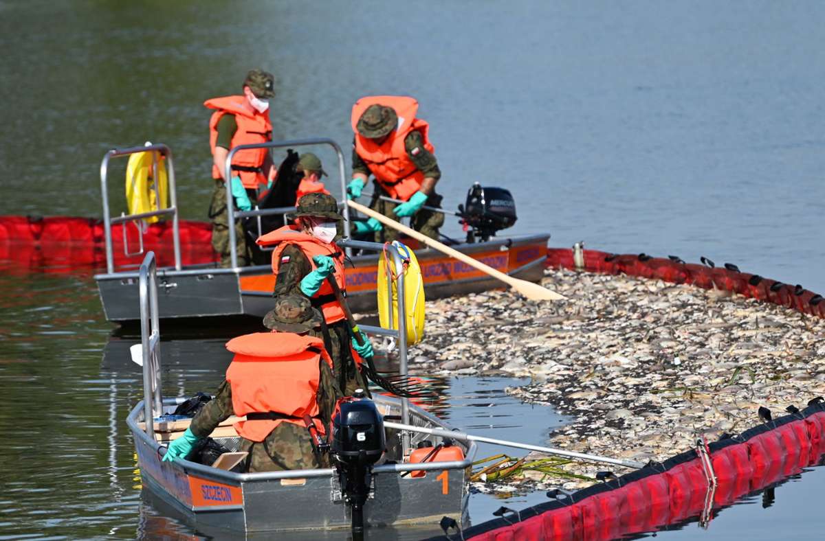 Ölsperren sollen eine größere Ausbreitung der Fischkadaver verhindern. Foto: dpa/Marcin Bielecki