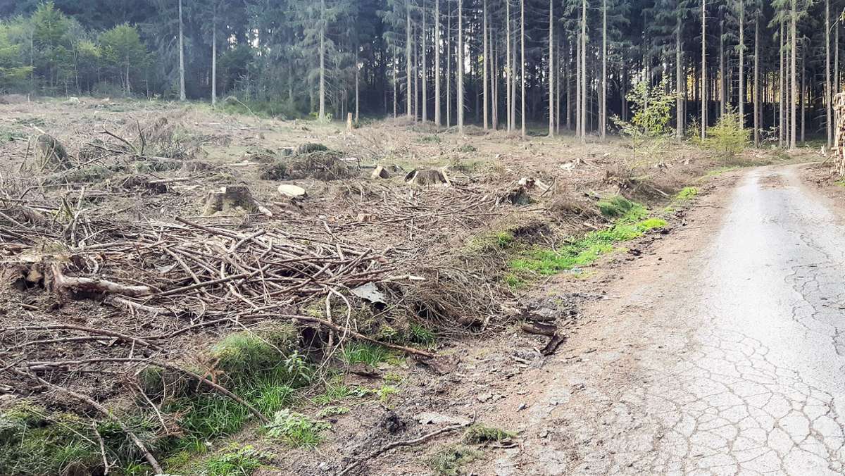 Rund um Suhl: Forstmaschinen hinterlassen nur Chaos und  matschige Wege