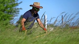 Natur deckt den Tisch: „Ernten für jedermann“ in Hildburghausen