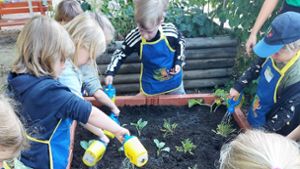 Kinder bauen eigenes Gemüse an