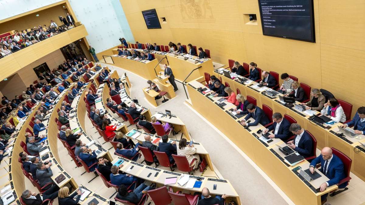 Gesetzesänderung: Pöbeln im Landtag kostet bis zu 4000 Euro Ordnungsgeld