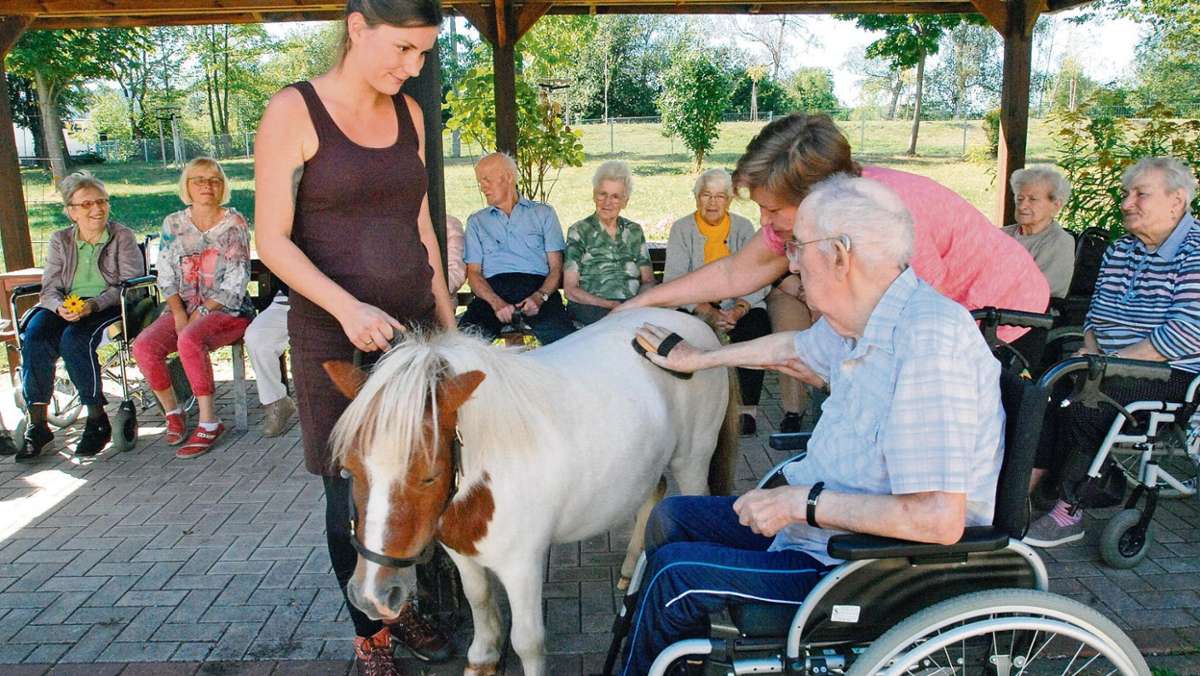 Ilmenau: Ponys erfreuen Bewohner des Seniorenzentrums
