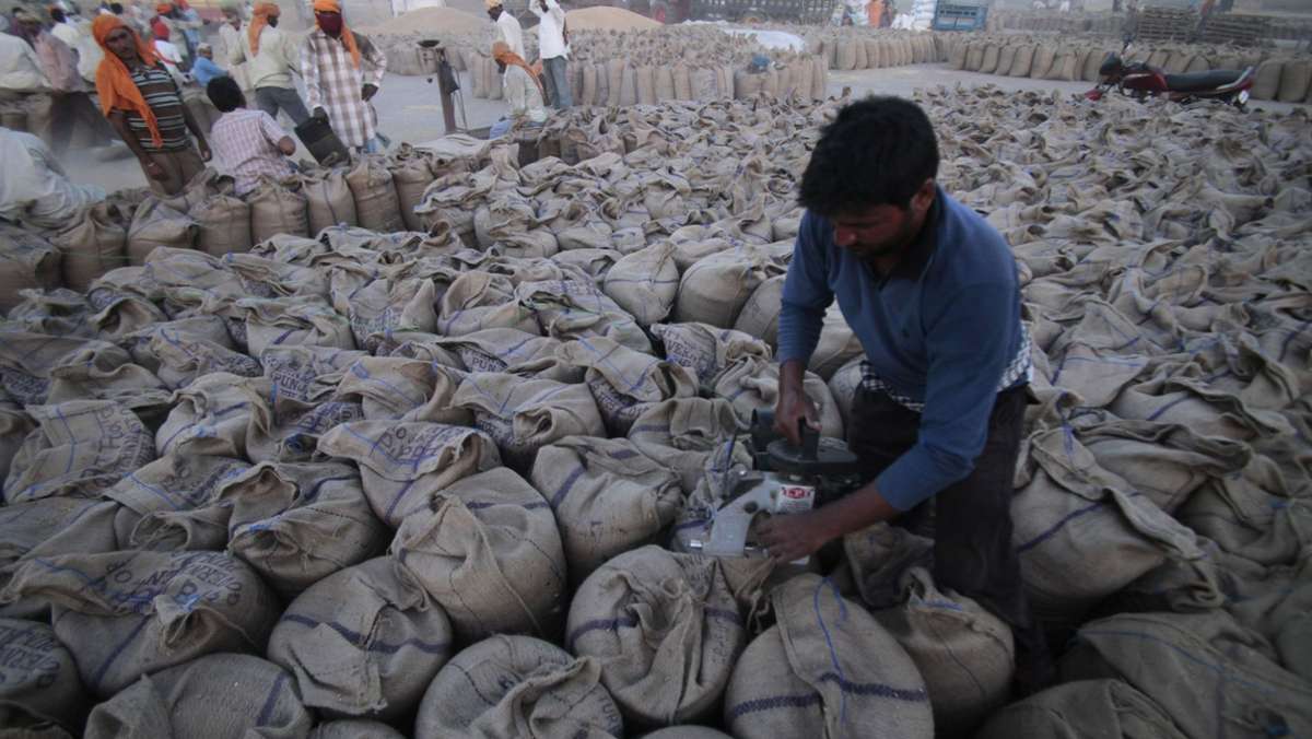 Lebensmittelsicherheit gefährdet: Indien verbietet Weizenexporte