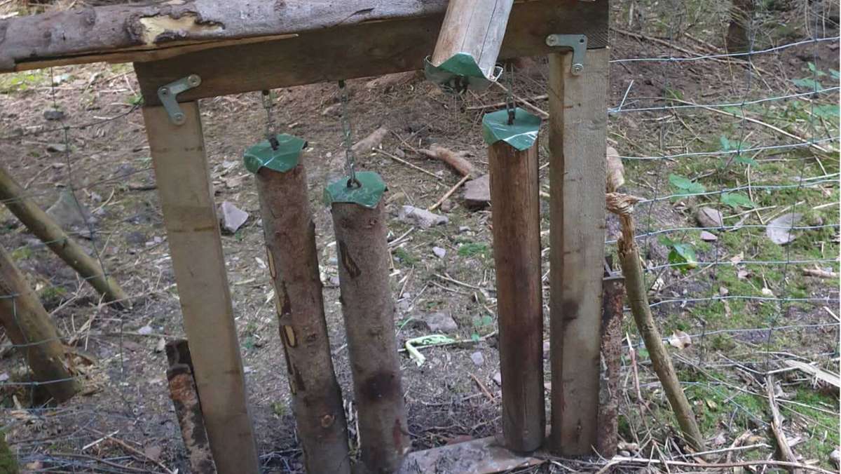 Attacke auf Forstgatter: Sauklappe zerstört, Zaun zertreten