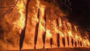 Fackelbrand soll  Unesco-Kulturerbe werden