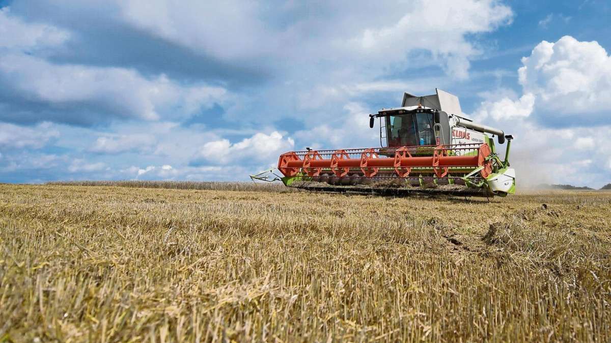 Hildburghausen: Landwirte klagen: Erst zu trocken und dann zu nass