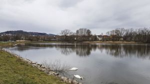 Pegel am Brandenburger Teich sinkt