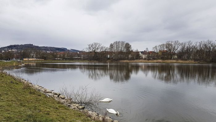 Ilmenauer Teichgebiet: Pegel am Brandenburger Teich sinkt