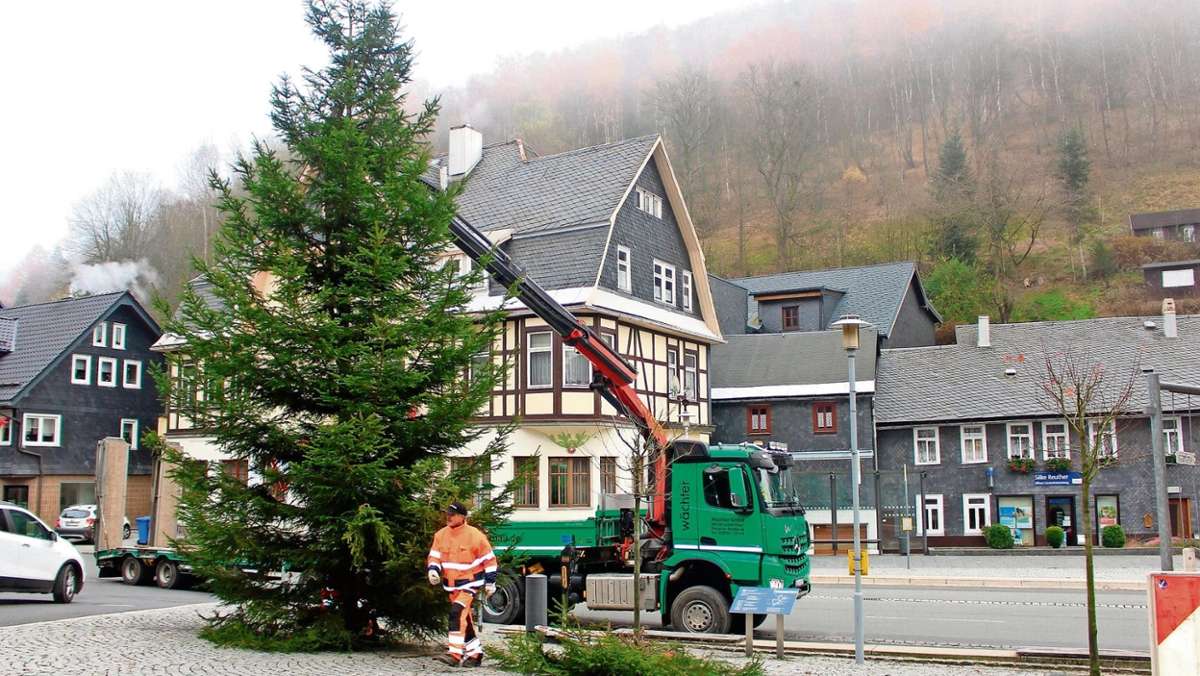 Sonneberg/Neuhaus: O Tannenbaum, o Tannenbaum, wie grün sind deine Blätter