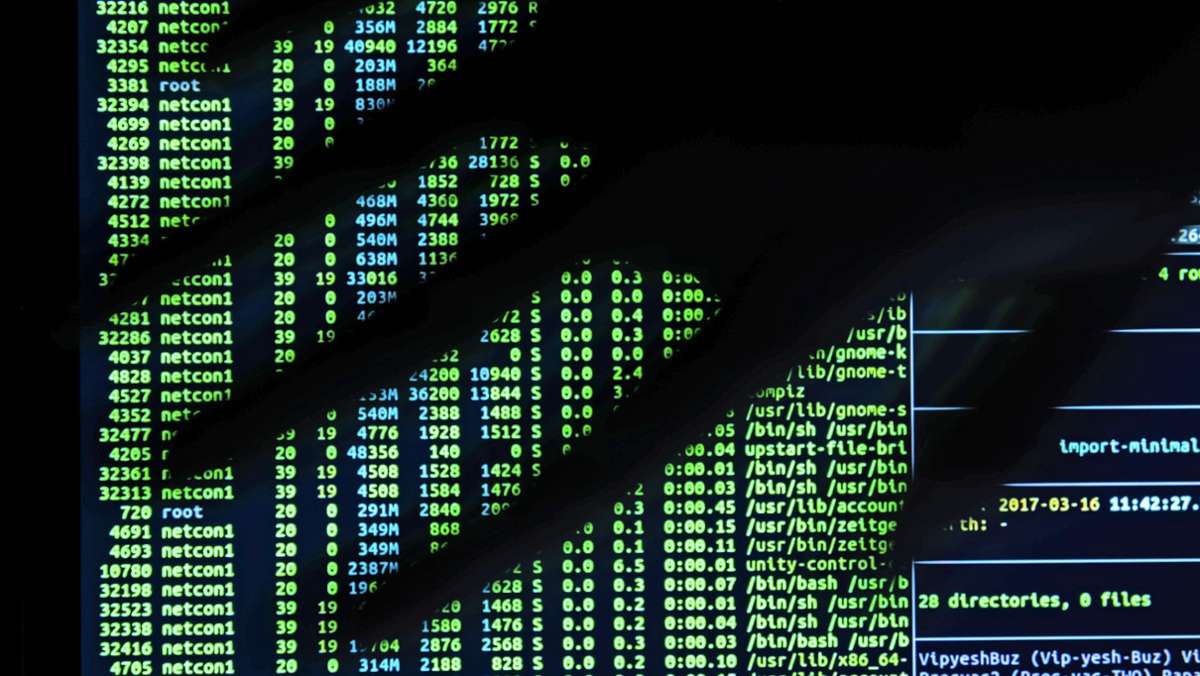 Cyber-Gefahr bannen: Hacker-Angriffe besser erkennen