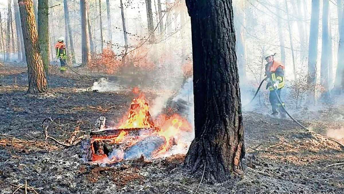 Nachbar-Regionen: Großeinsatz an der Autobahn 73: drei Hektar Wald in Flammen