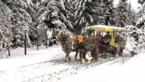 Winter in Oberhof: Kutschfahrt durch den Märchenwald