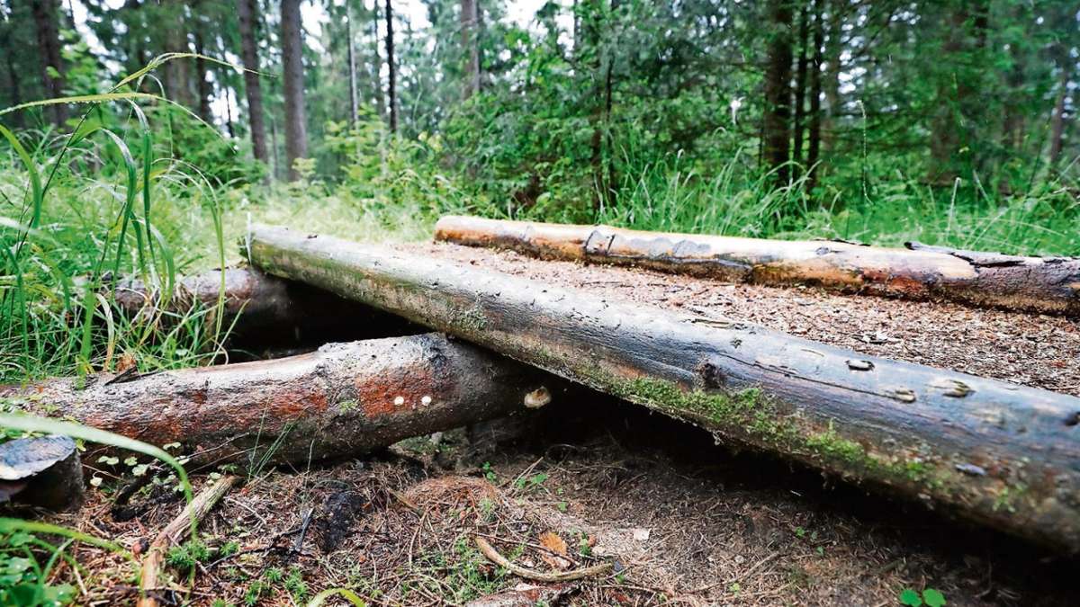 Suhl/ Zella-Mehlis: Waldwegebau der illegalen Art