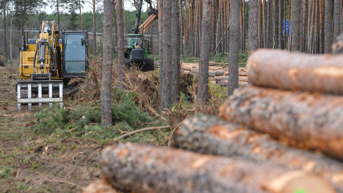 Polizei sucht Zeugen: Unfallflucht mit Forstfahrzeug