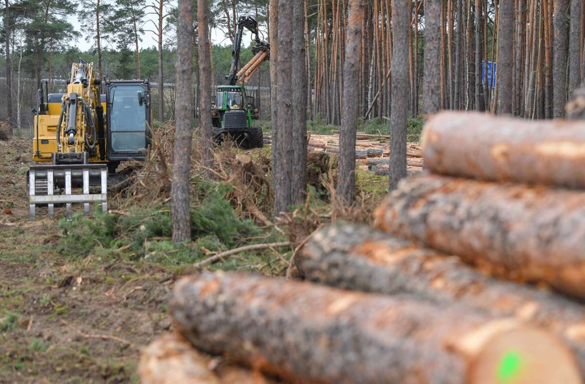Ein Forstfahrzeug steht in einem Wald. Foto: dpa