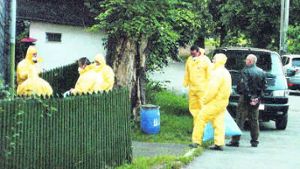 Vogelgrippe-Gespenst noch nicht gebannt