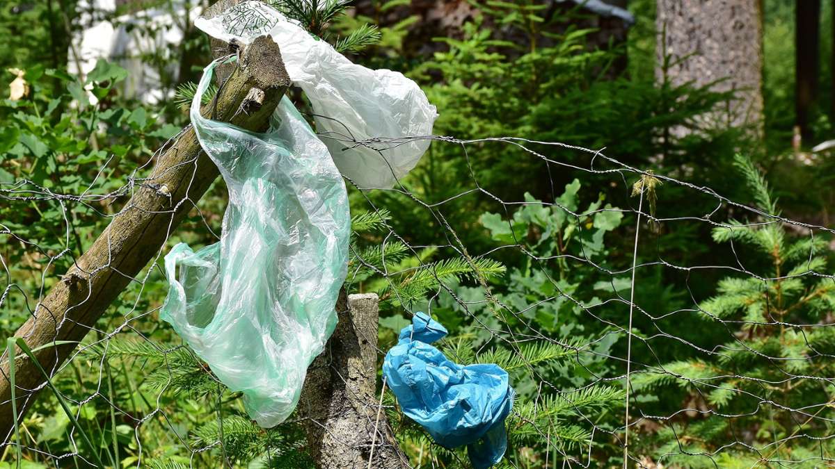 Dank App: Hunderte illegale Müllhalden beseitigt