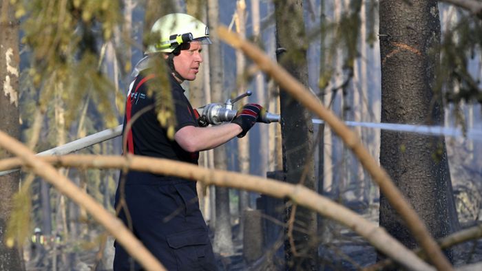 Waldbrand im Wartburgkreis: Polizei geht von Brandstiftung aus