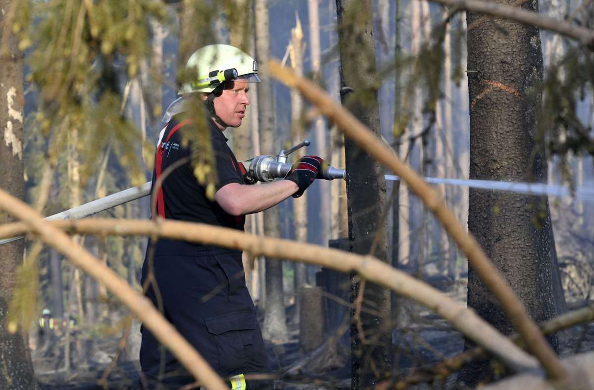 Ein circa ein Hektar großes Waldstück war in Brand geraten.