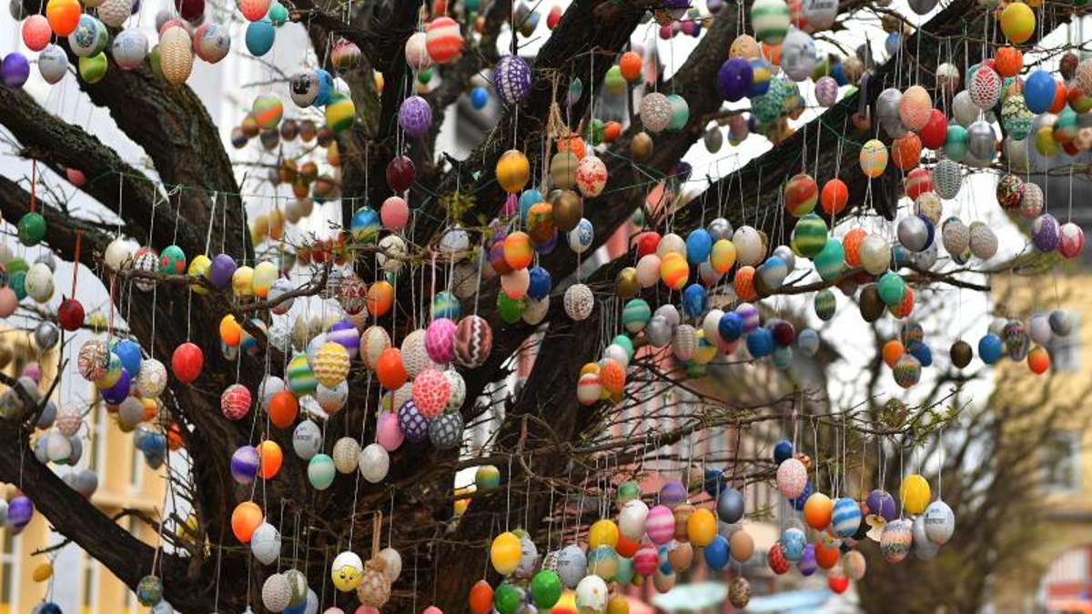 Thüringen: 10.000 Eier leuchten wieder am Saalfelder Ostereierbaum