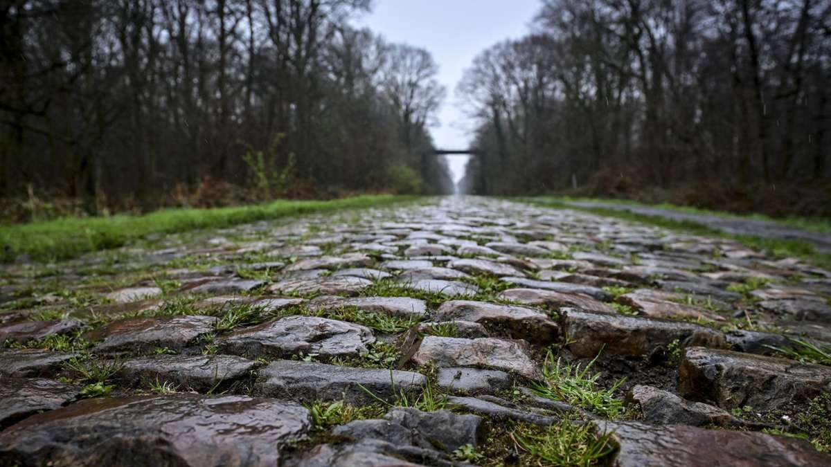 Sport-Umfrage: Altmodisch: Paris–Roubaix?