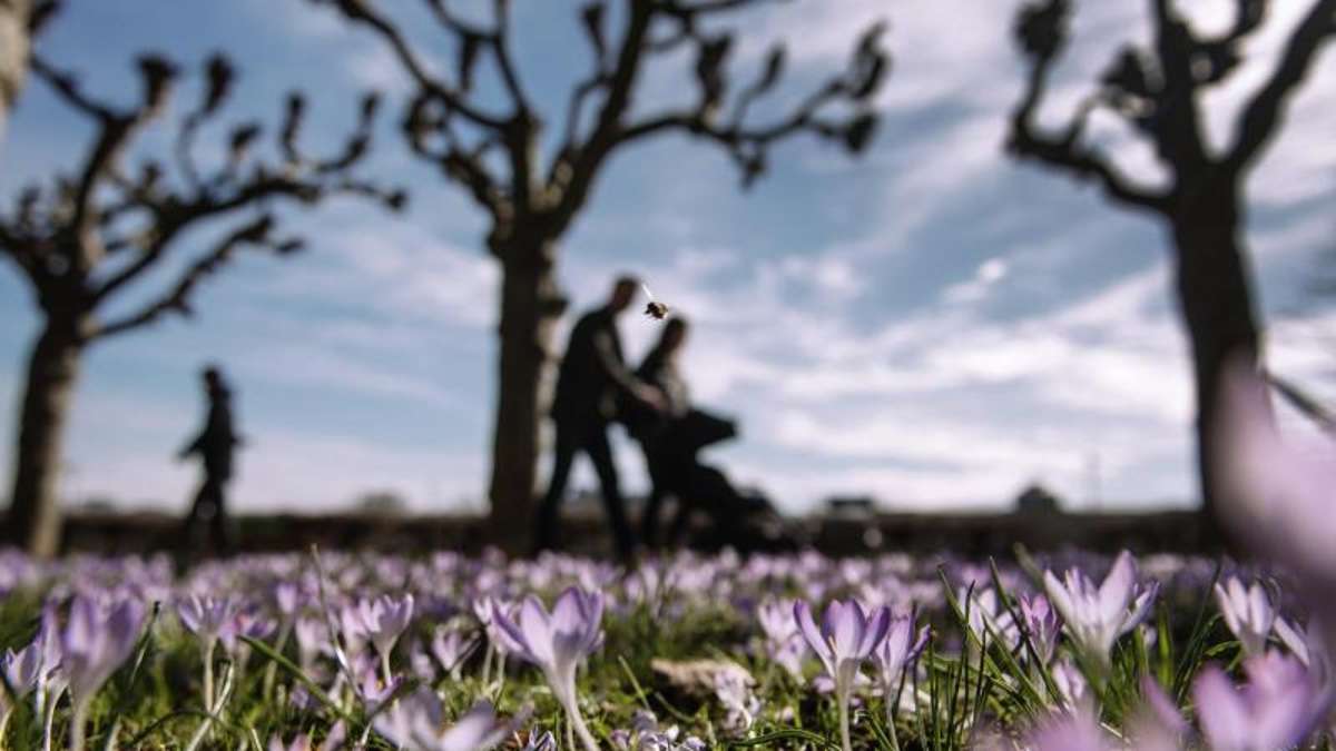 Thüringen: Blauer Himmel und Sonne - Azorenhoch bringt den Frühling