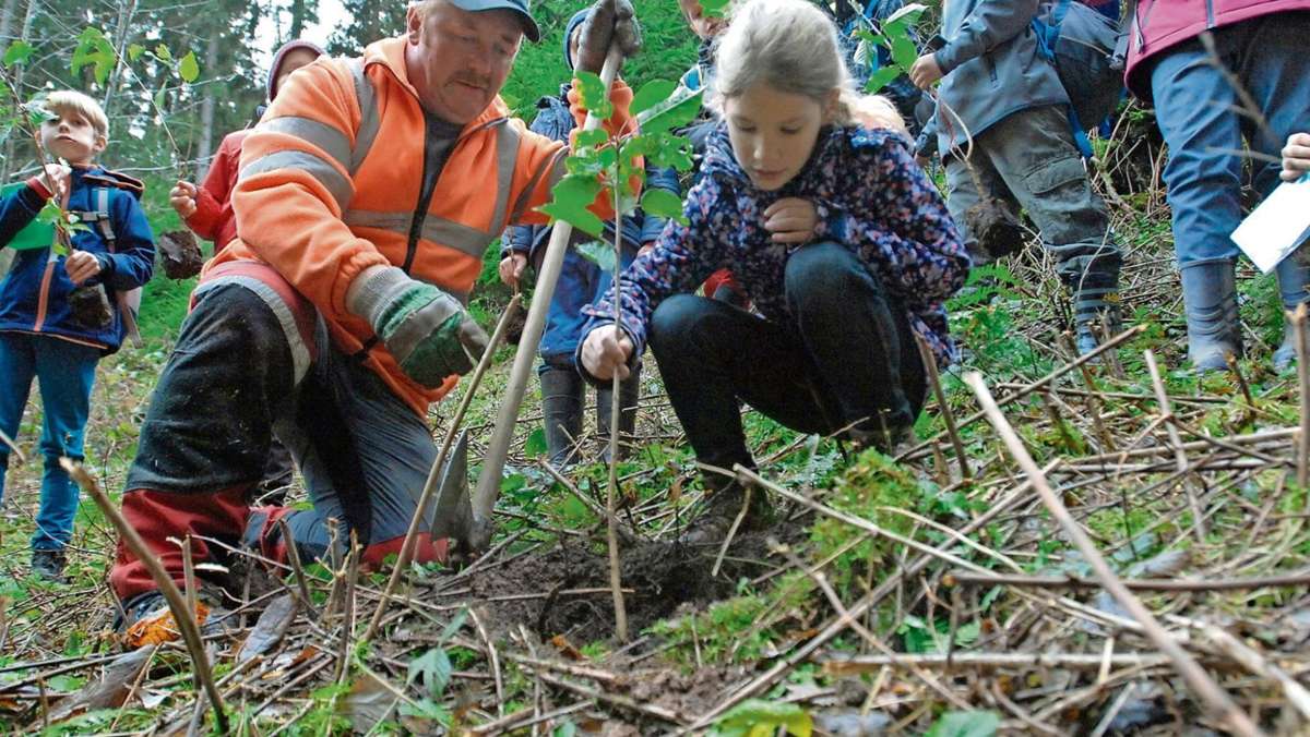 Ilmenau: 210 neue Bäume für Ilmenau