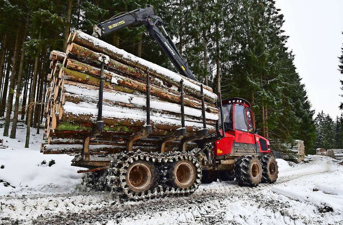 Solche Fahrzeuge sind teuer, helfen aber beim Transport  von Holz besonders im Winter. Dabei setzt der Forst auch auf Einzelunternehmer, wie dieser aus Schmiedefeld. Foto: Norbert Kleinteich
