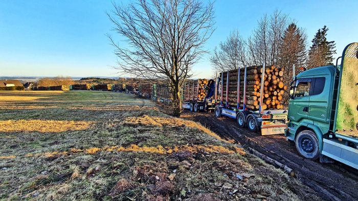 Holzabfuhrspuren bringen Jagdshofer „auf die Palme“