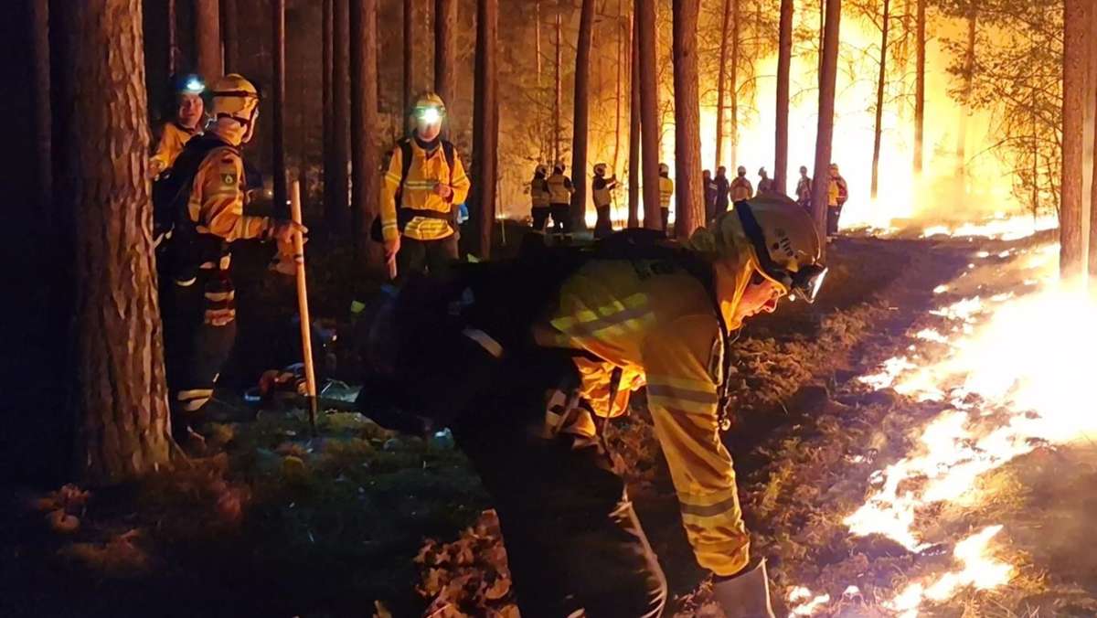 Immer öfter Feuer: Deutschland wird zum  Waldbrand-Land