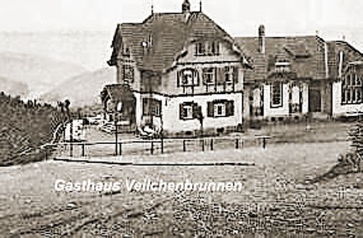Der Veilchenbrunnen gab Gasthaus, Ferienlager  und Baude seinen  Namen. Foto:  