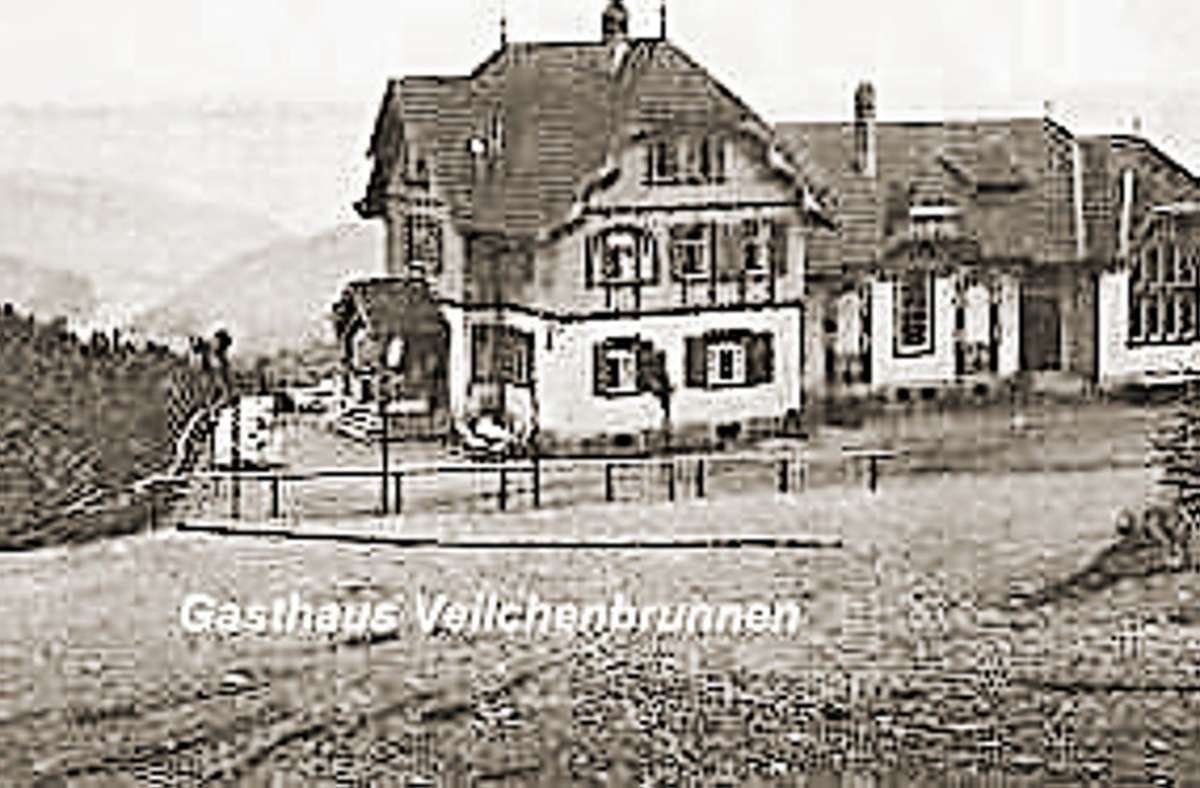 Der Veilchenbrunnen gab Gasthaus, Ferienlager  und Baude seinen  Namen. Foto:  