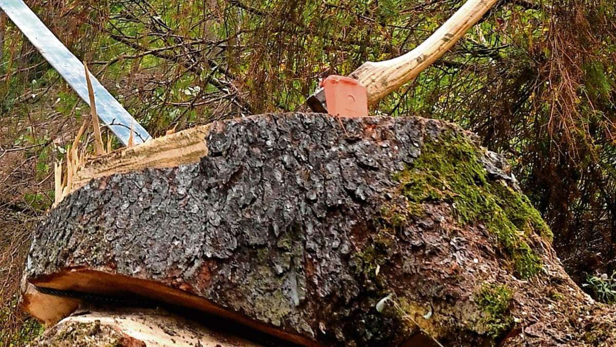 Oberhof/Zella-Mehlis -: Selbst Holz machen wird immer beliebter