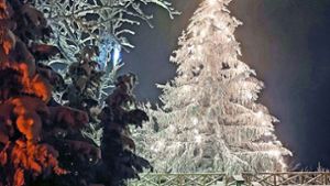 Vermeintliches Feuer war die Weihnachtsbaum-Beleuchtung